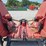 bush-hog-2720-image-7