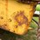 caterpillar-d7-image-90