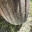 #1071-•-poultry-house-washer-image-17