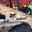 bobcat-642-image-28