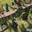 john-deere-er014-image-9