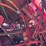 2002-case-ih-2388-image-36