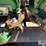 2019-john-deere-712c-image-18