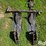 john-deere-608c-stalkmaster-image-8