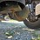 2017-peterbilt-579-image-83