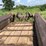 #1079-•-new-idea-spreader-image-12