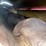 hiniker-5600-image-15
