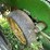 john-deere-7200-image-46