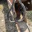 #1066-•-sperry-new-holland-892-chopper-(arcadia,-wi)-image-29