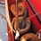 new-holland-269-image-6