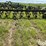 john-deere-er014-image-2