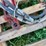 2-hydraulic-cylinders-image-2