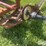 new-holland-540-image-10