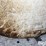 7,000-gallon-(approx.)-fiberglass-liquid-feed-storage-tank-image-12