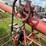 sudenga-8"-x-30ft-truck-auger-image-7