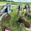 john-deere-2700-image-18