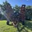 wil-rich-13qx2-55-image-8