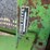 john-deere-336-image-8