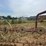 #26606-•-sitrex-columbia-tr1113-hay-rake-image-19