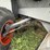 2000-claas-jaguar-880-image-11