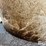 7,000-gallon-(approx.)-fiberglass-liquid-feed-storage-tank-image-13