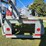 ads-bulk-seed-buggy-image-9