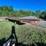 #8398-•-45'-t/a-steel-flatbed-trailer-image-2