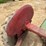 farmall-b-tractor-w/-5ft-belly-mower-image-20