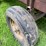 6ft-x-12ft-steel-silage-wagon-image-13