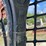 2016-bobcat-t590-image-20