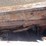 bobcat-753-image-14