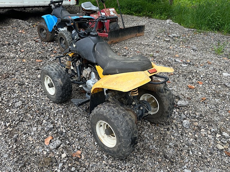 zebra-international-youth-atv-image-4