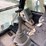 2004-caterpillar-345b-image-8