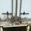 #1021-•-2003-stoughton-53'-trailer-(wi-title-in-delay)-image-22