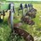 john-deere-2700-image-19