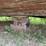 #1069-•-1957-chris-craft-bull-nose-constellation-(onalaska,-wi)-image-78