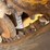 caterpillar-279c2-image-10