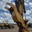 caterpillar-320gc-image-29