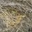 2024-mixed-grass-hay-round-bales-(bid-per-unit)-image-8