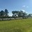 **sold-onsite-only---no-online-bids-accepted**-hay-image-7