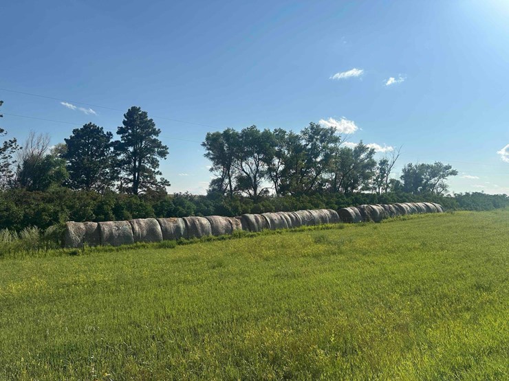**sold-onsite-only---no-online-bids-accepted**-hay-image-7