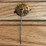 moline-wagon-co.-straight-pin-image-2