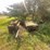 **sold-onsite-only---no-online-bids-accepted**-railroad-ties-and-t-posts-image-2