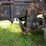 2007-kenworth-t800-image-44