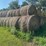 **sold-onsite-only---no-online-bids-accepted**-hay-image-2