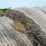 2024-mixed-grass-hay-round-bales-(bid-per-unit)-image-20