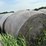2024-mixed-grass-hay-round-bales-(bid-per-unit)-image-4