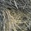 2024-mixed-grass-hay-round-bales-(bid-per-unit)-image-7