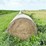2024-mixed-grass-hay-round-bales-(bid-per-unit)-image-2