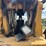 2015-caterpillar-tl1055c-image-20